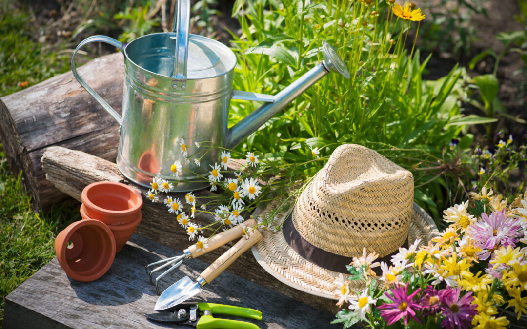 What Can Gardening Do for You?