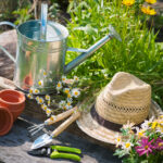 What Can Gardening Do for You?